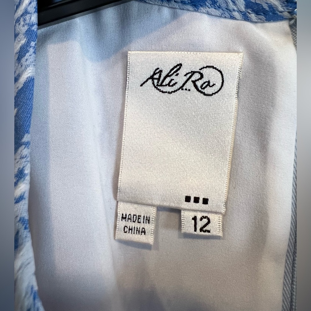 NWT Ali Ro dress Size 12. - Picture 3 of 10